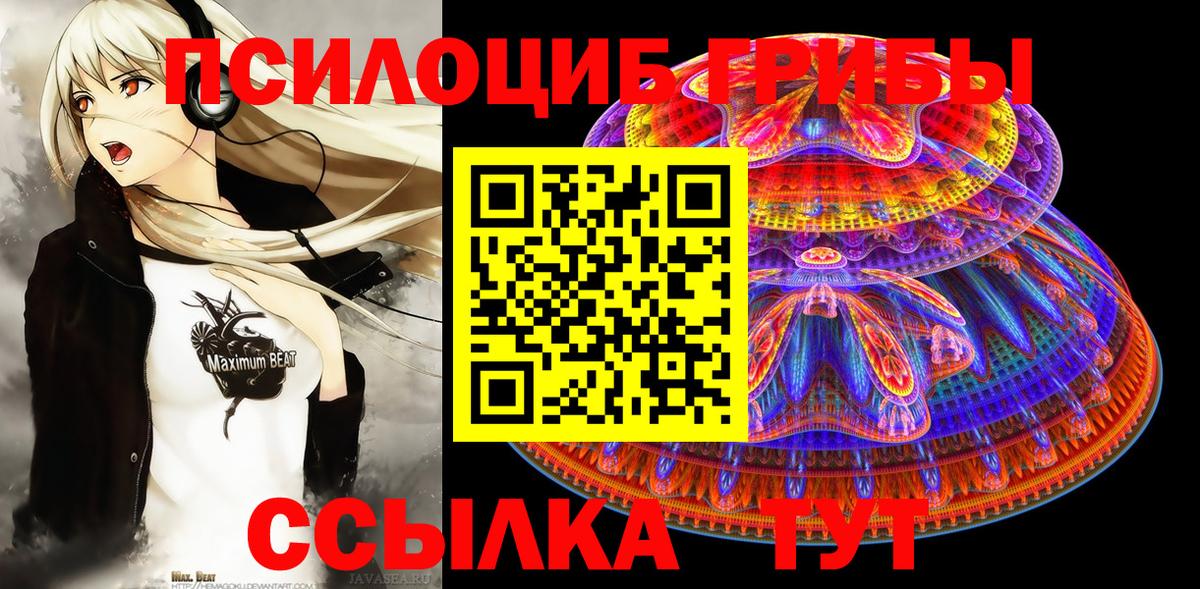 Галлюциногенные грибы мухоморы Кузнецк